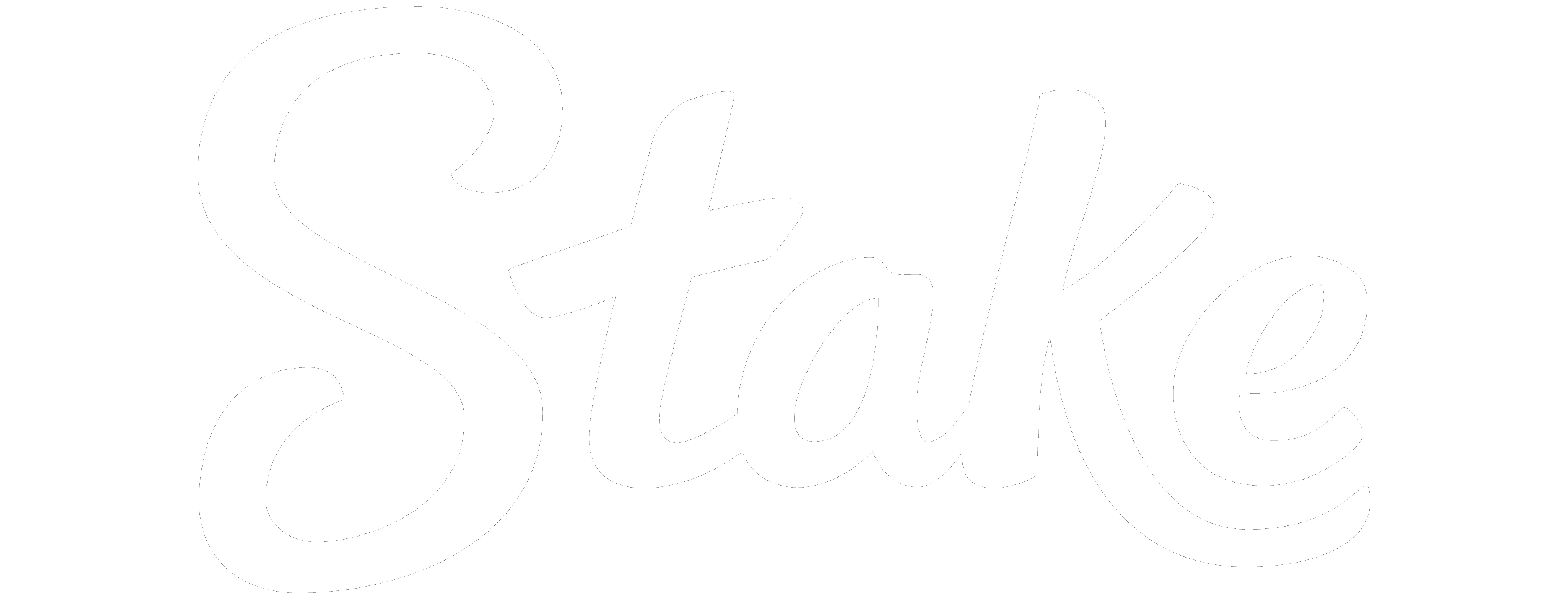 Stake casino logo