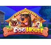 How Stake is Revolutionizing Online Gambling in Australia